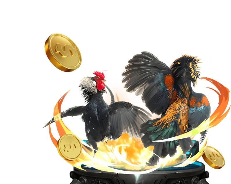 Hình ảnh khuyến mãi đá gà